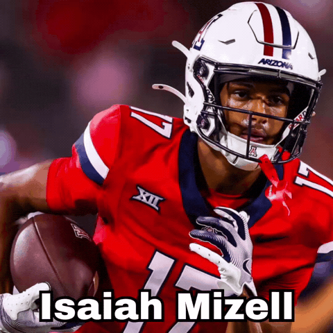 Arizona Football GIF
