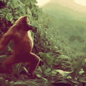 source.gif