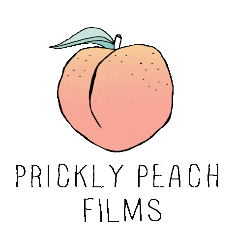 Brand Videography Sticker by Prickly Peach Films