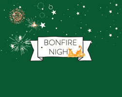 Bonfire Night GIF