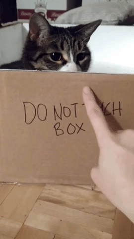 Video gif. Cat peers over a cardboard box with scrawled text that very clearly reads, "Do Not Touch Box." A person slowly moves their finger towards the box and touches it as the cat whips its paw over the top of the box to bat it away. 