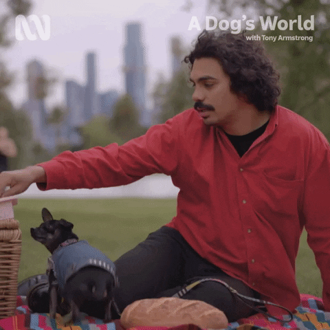 Puppy Love Dogs GIF by ABC TV + IVIEW