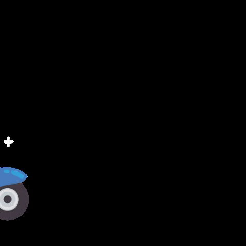 TODO CHANCHO GIF