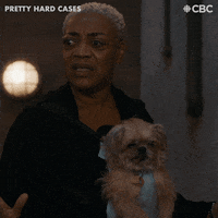 Dog Reaction GIF by CBC