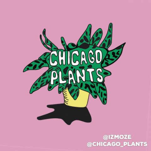 Chicago Plants GIF