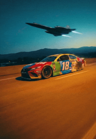 Kyle Busch Nascar GIF