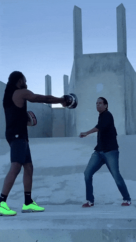 Kungfu GIF