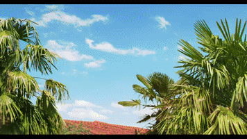 GIF by MAGTICOM
