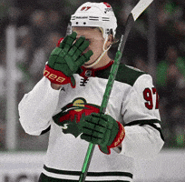 Sad Minnesota GIF
