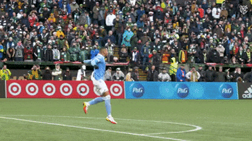 Happy Mls Cup GIF by NYCFC