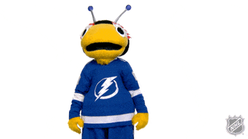 Tampa Bay Lightning Thumbs Up GIF by NHL