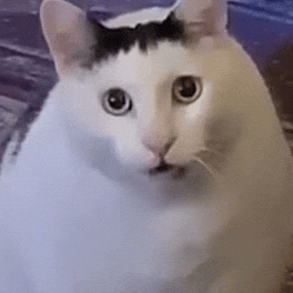 Pondphuwin GIF