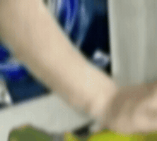 Pet Dog GIF