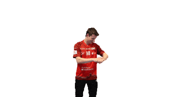 Floorball Sticker