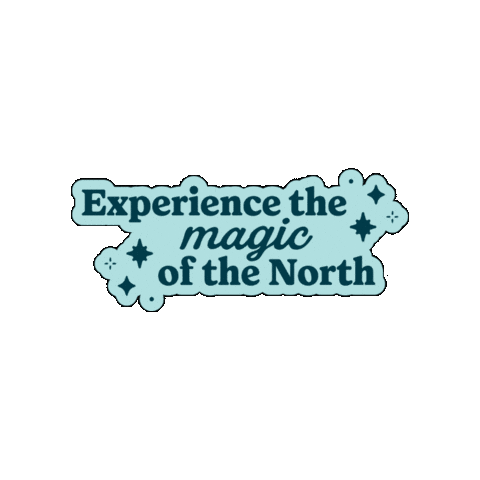 Northern Lights Aurora Sticker by Alaska Wild Lights
