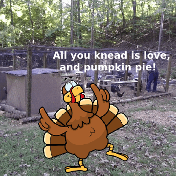 Autumn Fall GIFs - Find & Share on GIPHY