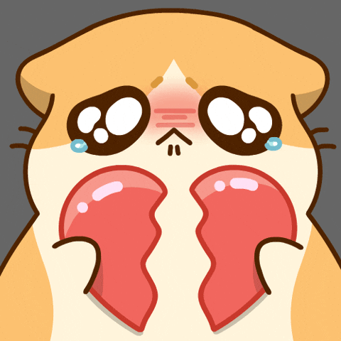 Catmemes GIF by Bichi Mao