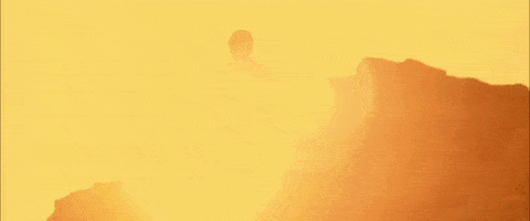 Denis Villeneuve Dune GIF by TIFF