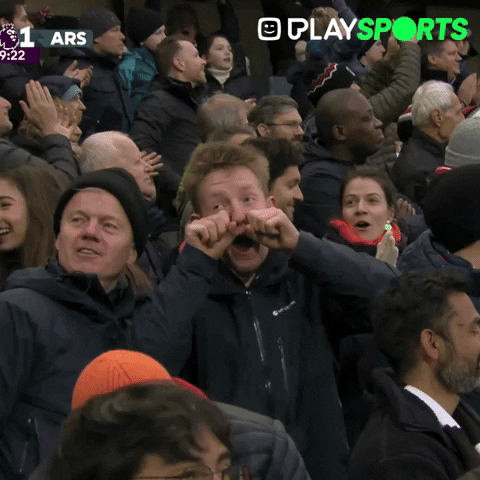 Premier League Crying GIF by Play Sports