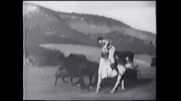 Dont Change Horses In Midstream GIF