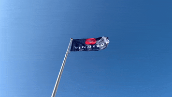 Vinnergi GIF