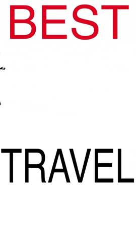 The Travel Expert GIF
