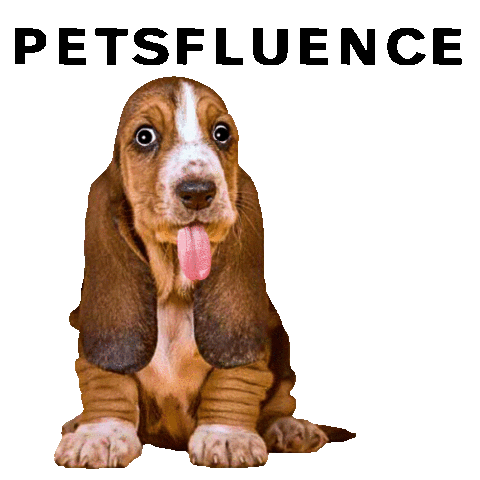 Petsfluence Sticker
