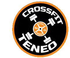 Crossfit Teneo Sticker