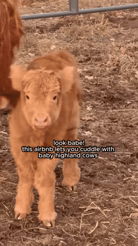 America's Outdoor Adventure Park GIF