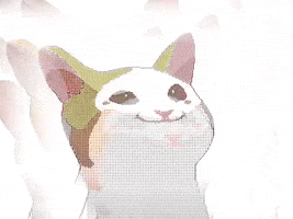 Cat GIF