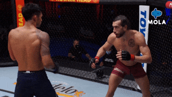 Knock Out Fighting GIF by MolaTV