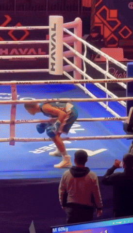Sanginov GIF