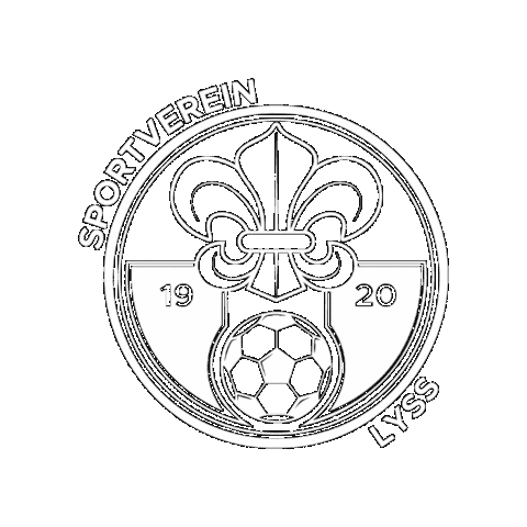 Soccer Svl Sticker by delaaysport