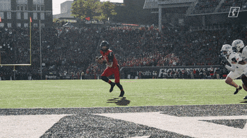 University Of Cincinnati Touchdown GIF by Cincinnati Bearcats