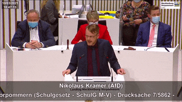 AfD- Fraktion MV GIF