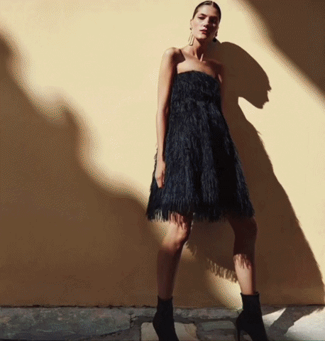 GIF by poplightproductions