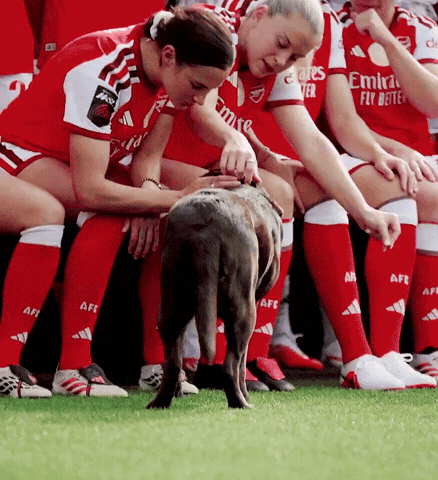 Arsenal Ladies GIF by memes