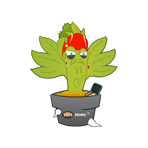 Seeds Cannabisculture Sticker by SeedsPromo