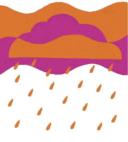 Rain Sticker