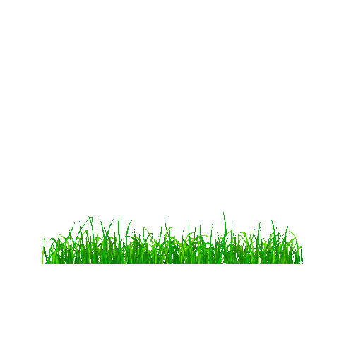 Agro Campo Sticker by Natufert