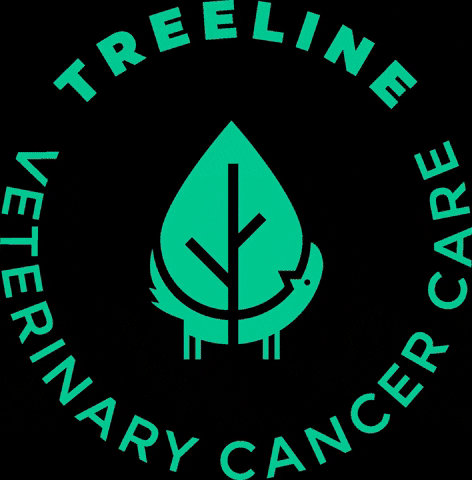 Veterinary GIF by Treeline Vet