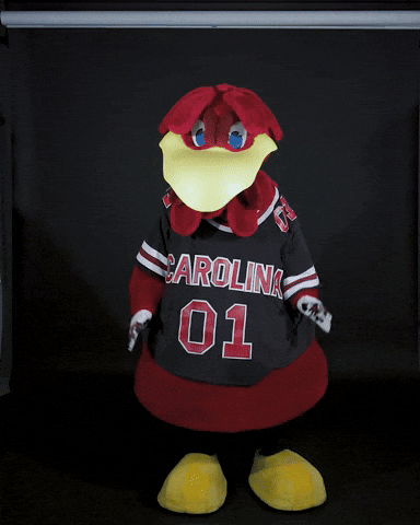 Football Goal GIF by University of South Carolina