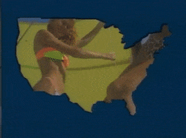 florida clearwater GIF