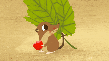 pygmy shrew berry GIF by Puffin Rock