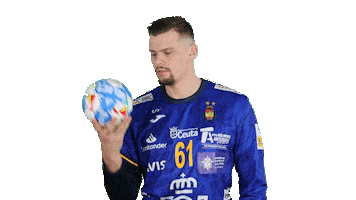 Real Federación Española de Balonmano Sticker