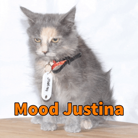 GIF by Garras y Patas