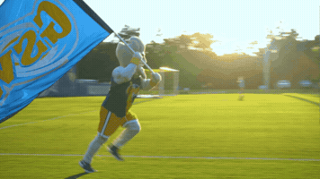 Hurricanes Canes GIF by Georgia Southwestern State University