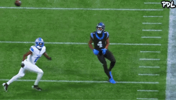 Carolina Panthers GIF by The Undroppables