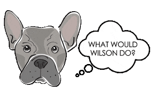 Interior Designer Eli Sticker by Eansor Luxury Interiors Inc.