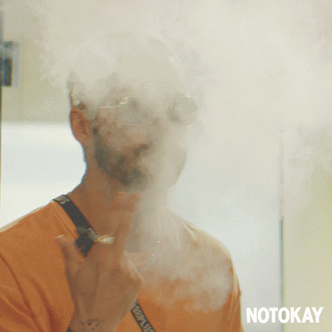Smoke Weed GIF by Searchlight Pictures